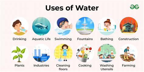 6 Uses of T.
